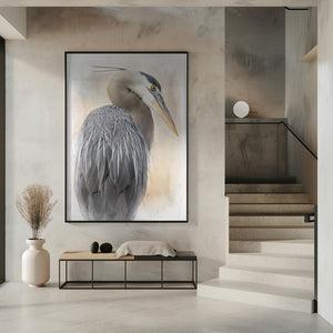Art Prints of Great Blue Heron Portrait