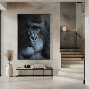 Art Prints of Unhappy Gorilla