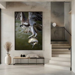 Art Prints of Osprey