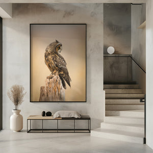 Art Prints of Sunrise