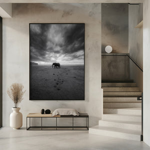 Art Prints of Amboseli