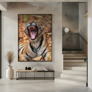Art Prints of The Yawning Tiger