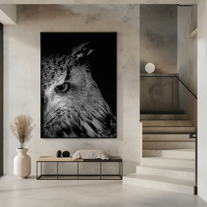 Art Prints of glint in eye