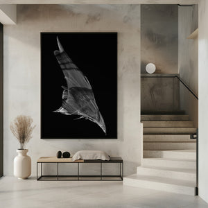 Canvas Art Print The Dive