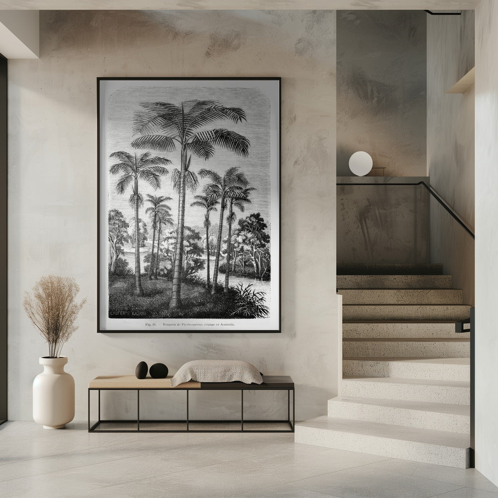 Vintage Palm Tree Drawing Ii