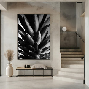 Art Prints of Pine B&w