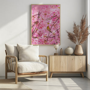 Art Prints of cherry blossoms and bird