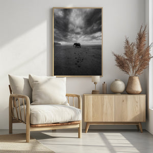 Art Prints of Amboseli