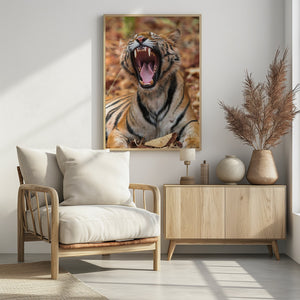 Art Prints of The Yawning Tiger