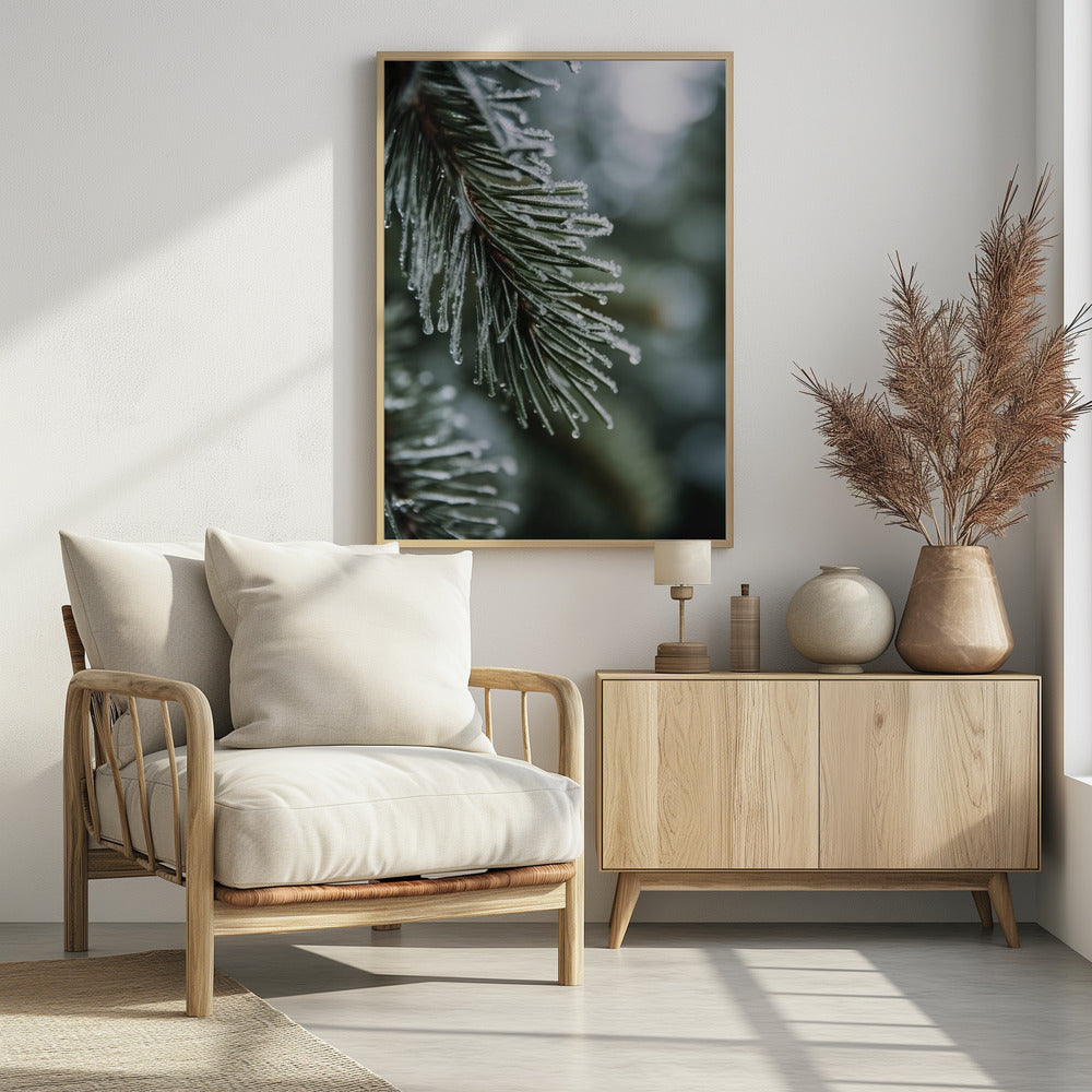 Frozen Pine Whispers