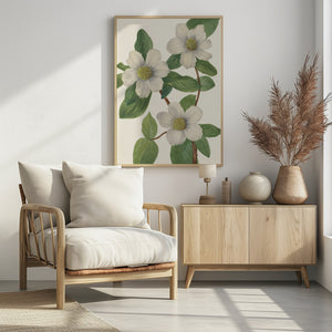 Art Prints of Pacific Dogwood
