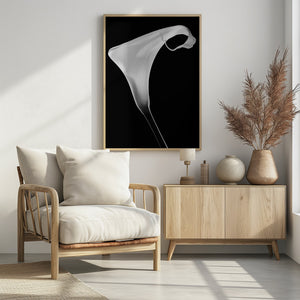 Art Prints of Calla