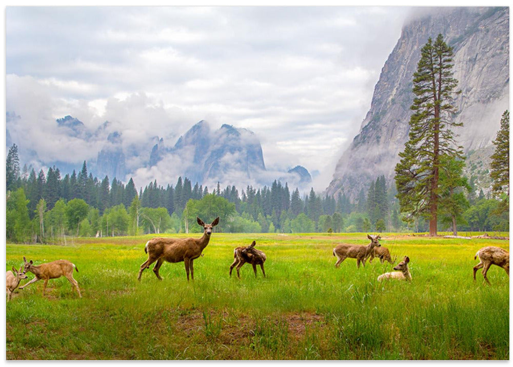 A Feeling of Ancient Time