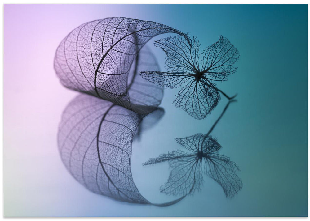 Story of leaf and flower