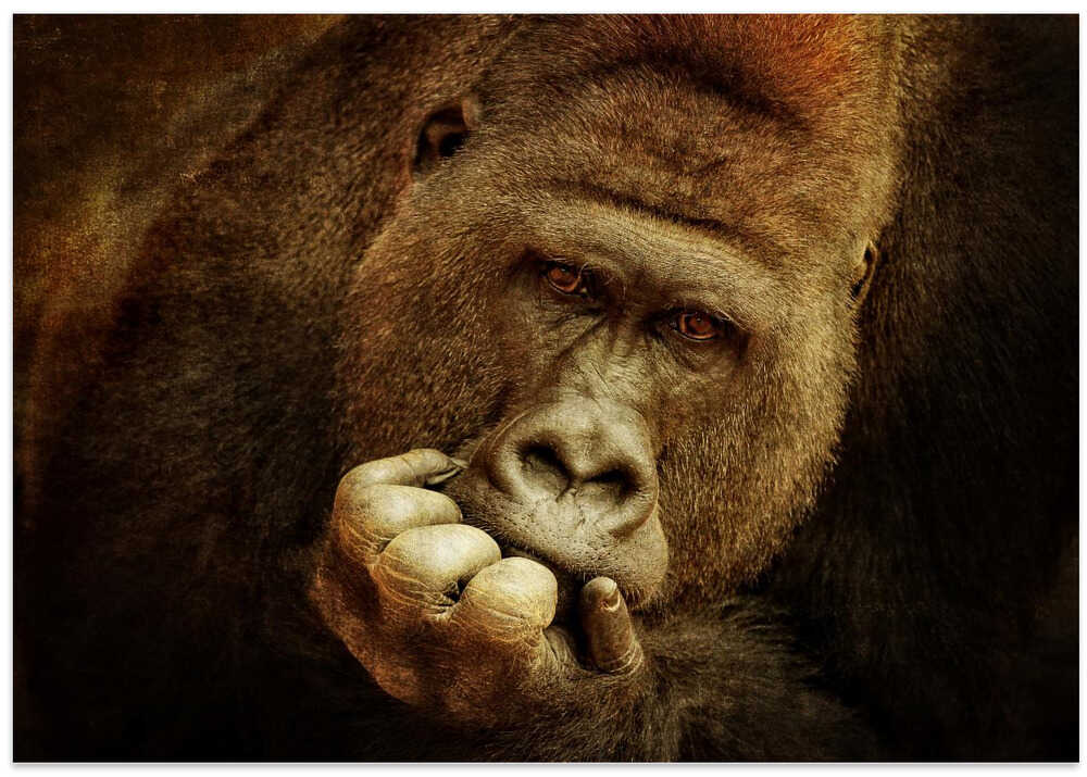 THINK DIFFERENT ....