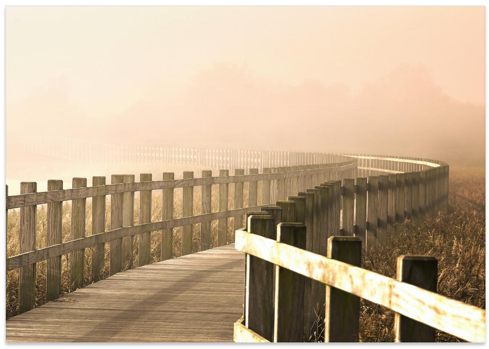 The Path gets brighter.