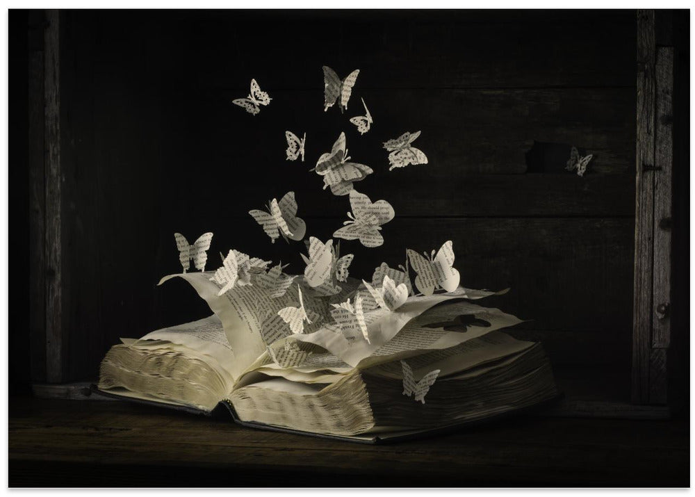 Art Prints of Lepidopterology