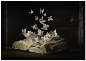 Art Prints of Lepidopterology