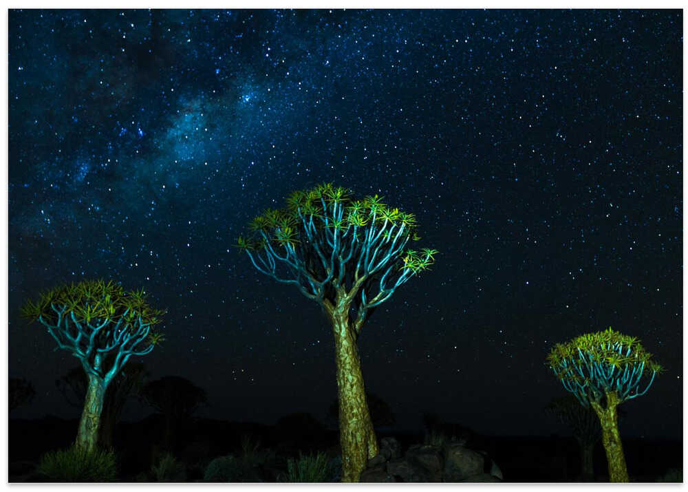 The Magical Kickerbooms