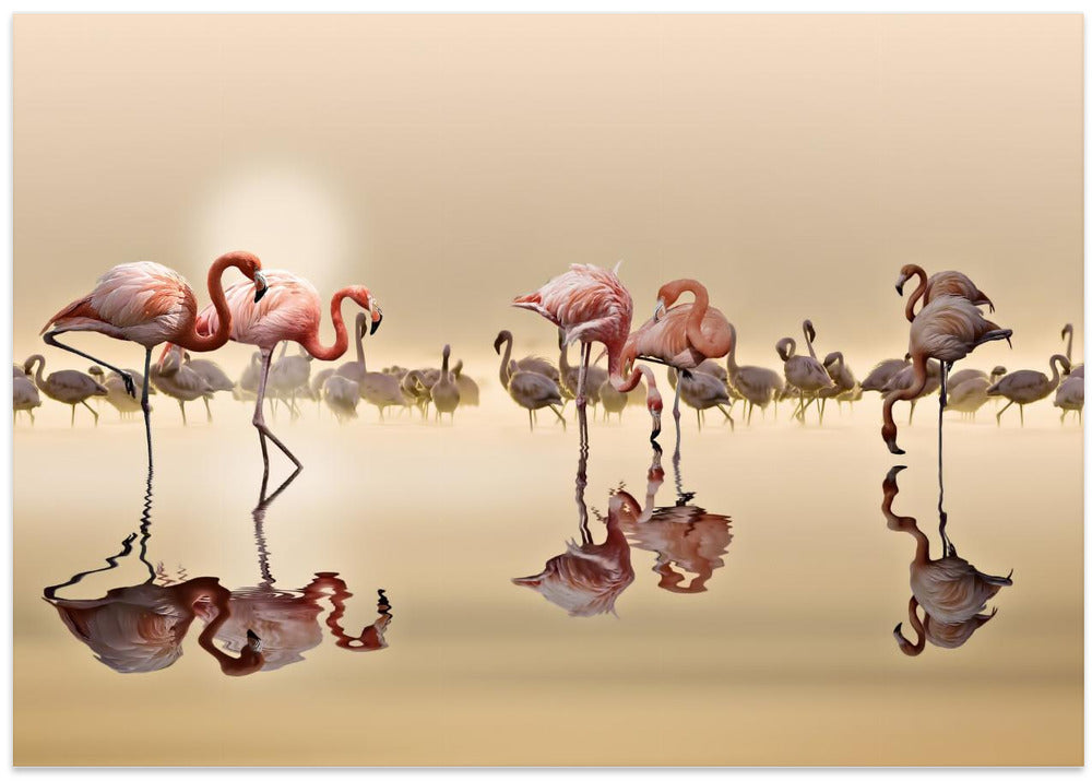 FLAMINGOS