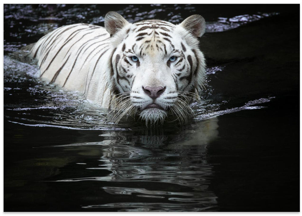 Looking at Me Looking at You