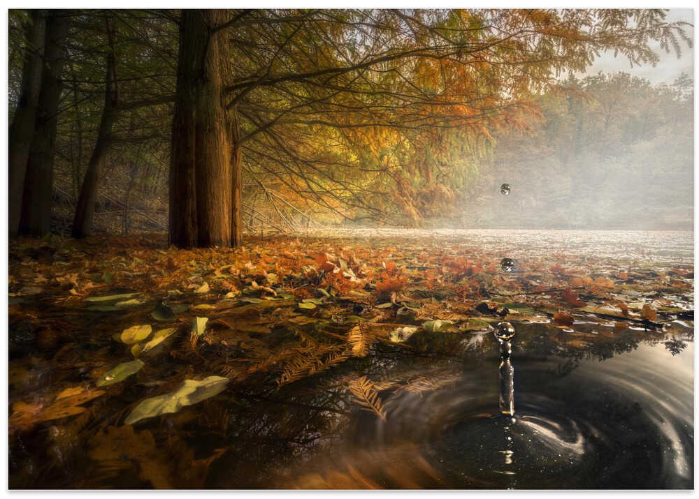 Drops between the autumn colors