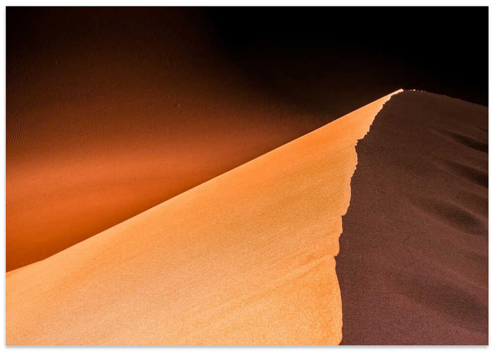 Desert Palette