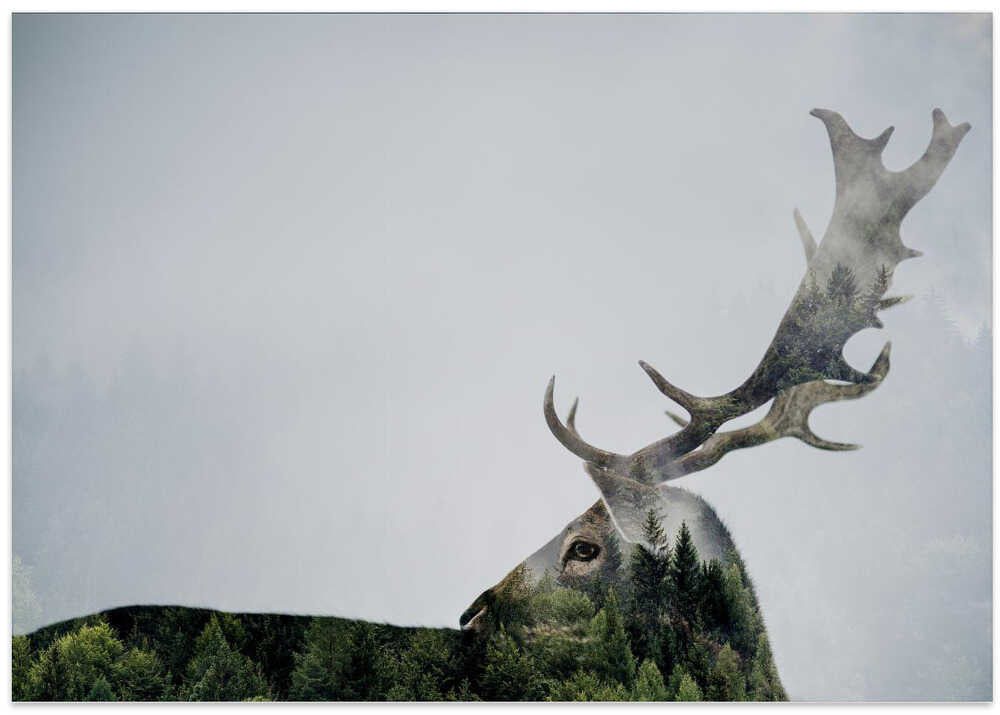 Antler Double-exposed