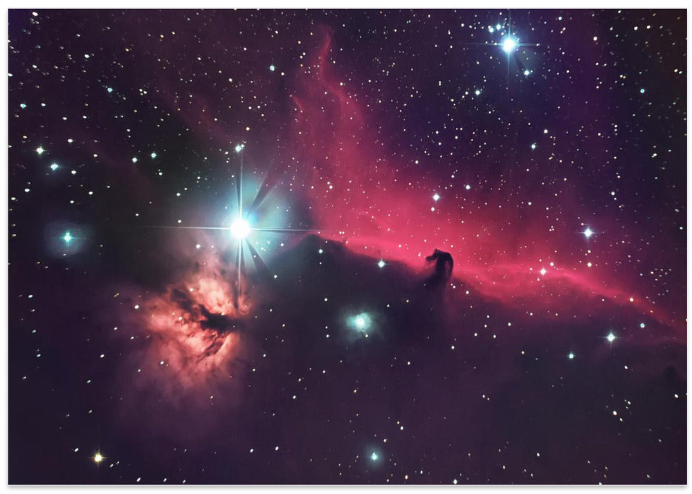 The horse in the sky