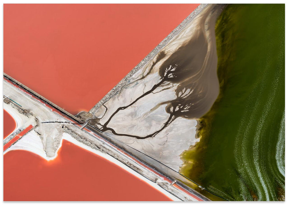 Art Prints of Nature's painting