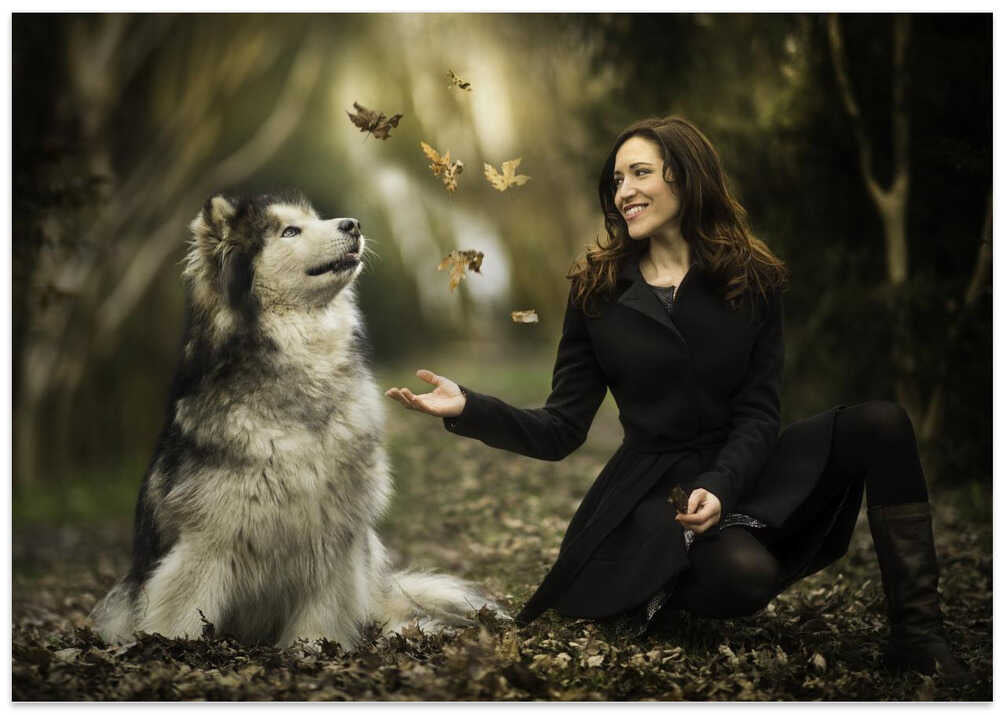 Enchanted by the leaves