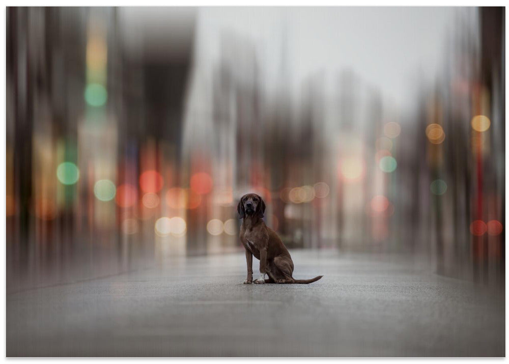 Art Prints of ... the Light lies down on Broadway...