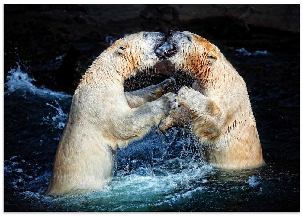 BATTLE & KISSES ....