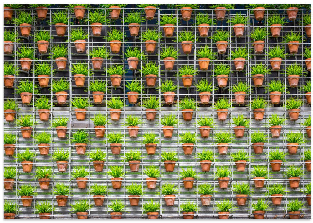 I had a dream tonight