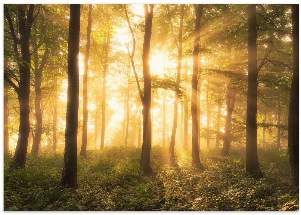 It's nice to love.......