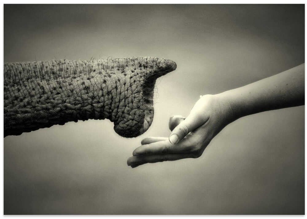 GIVE & TAKE (MONOCHROME)