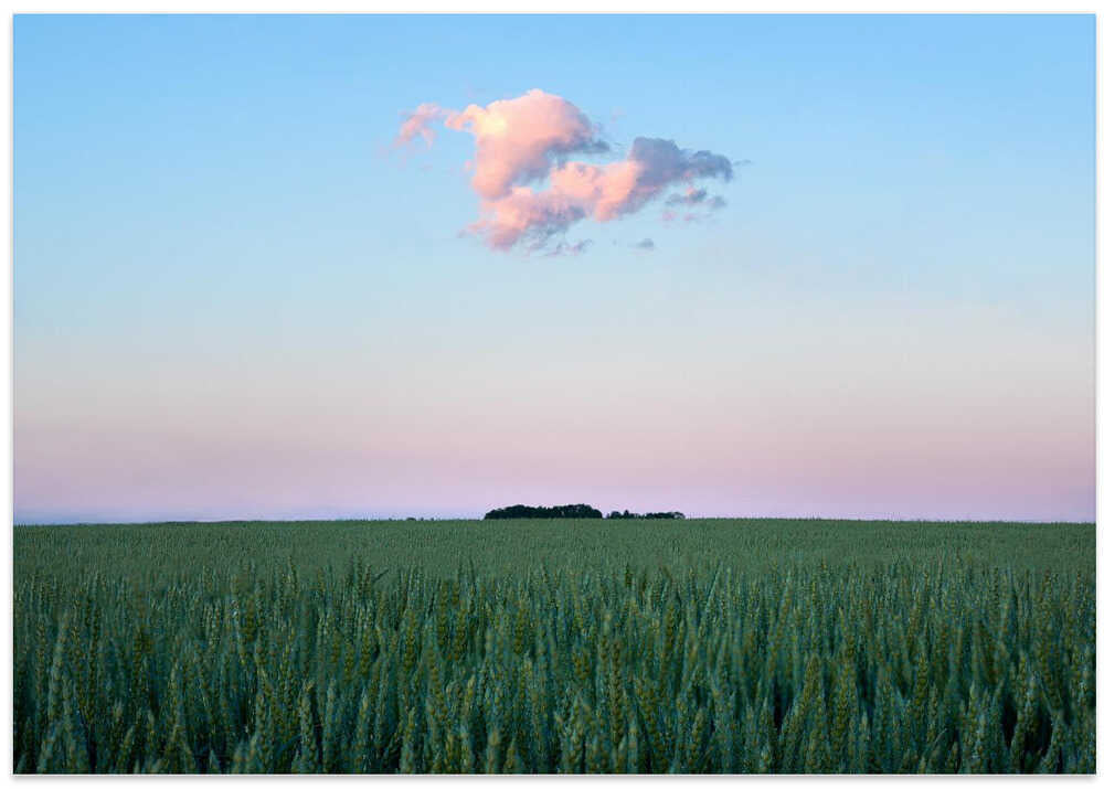 Simple things in life