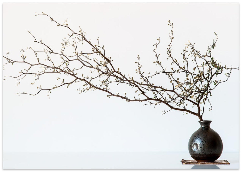 Vase And Branch