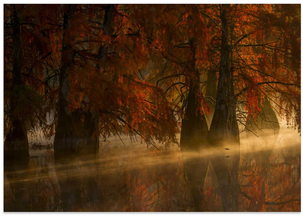 Crossing the kingfisher