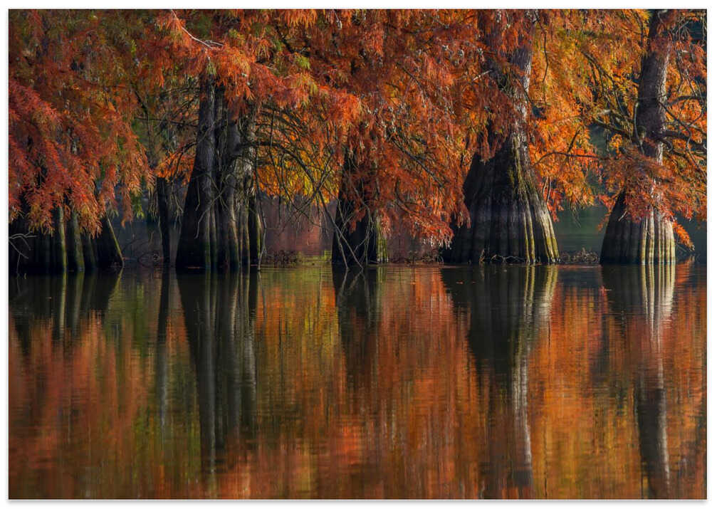 The Pillars of the Earth