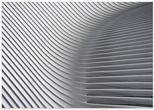 Art Prints of Calatrava Curves # 2