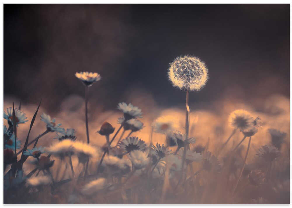 When he saw her emerging out from this crowd, he immediatly knew this would be the one