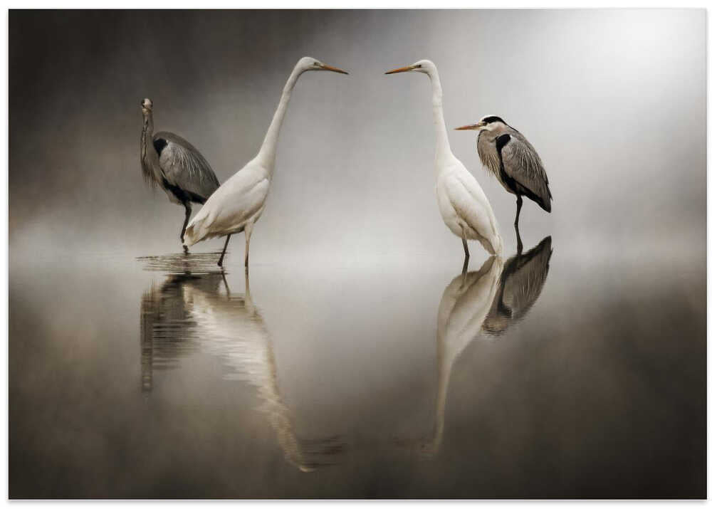 Challenges in the snow