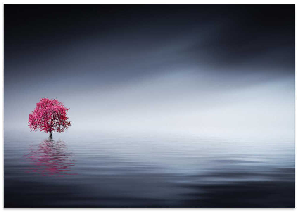 Pink tree at lake