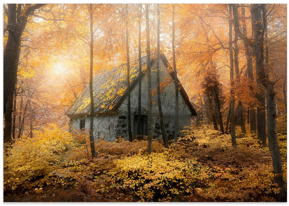 House in the forest during fallseason