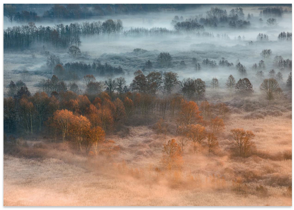 Autumnal misty dawn