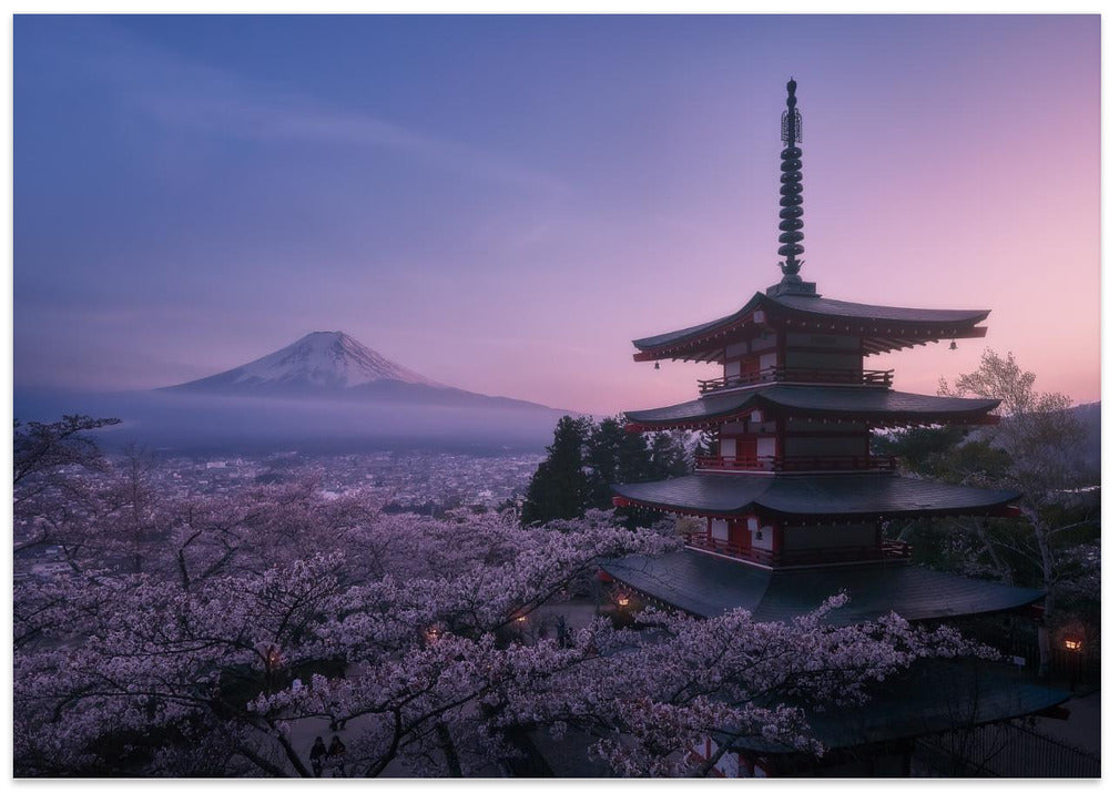 Mt Fuji Sakura