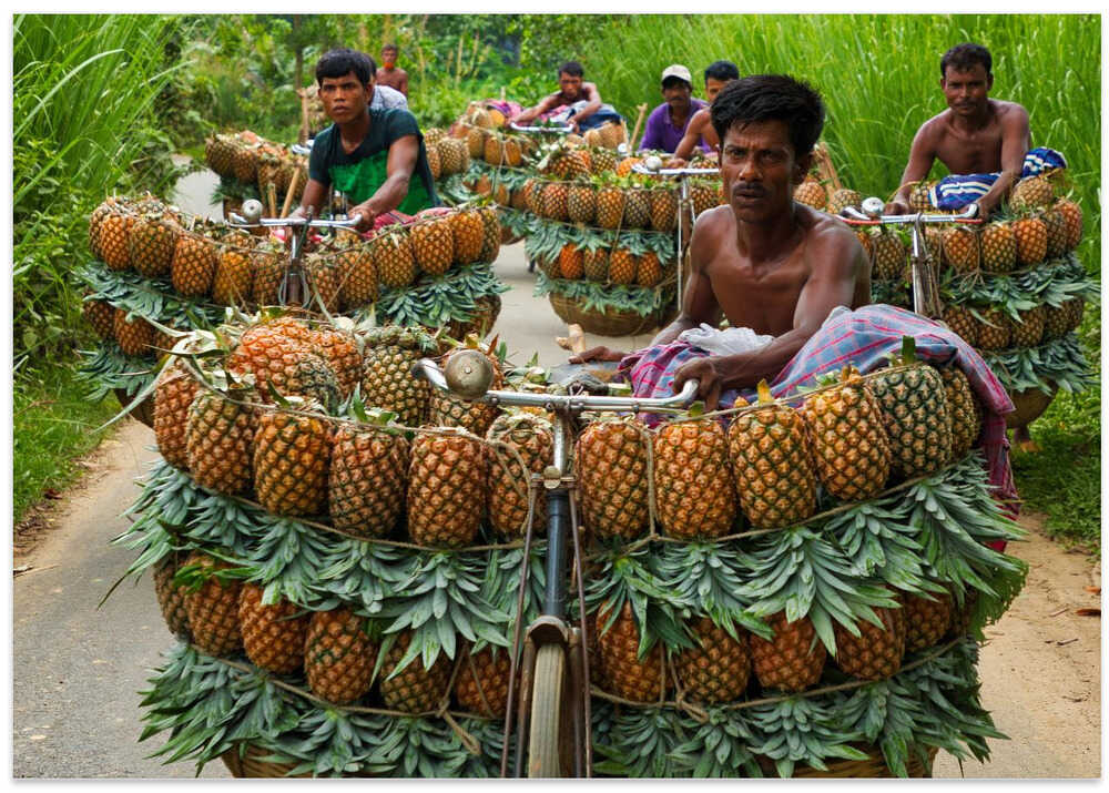 Pineapple seller