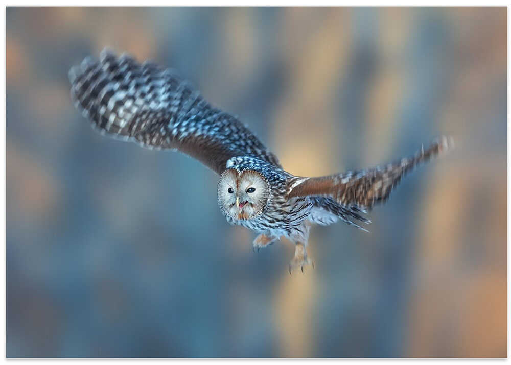 Good morning, little cutie