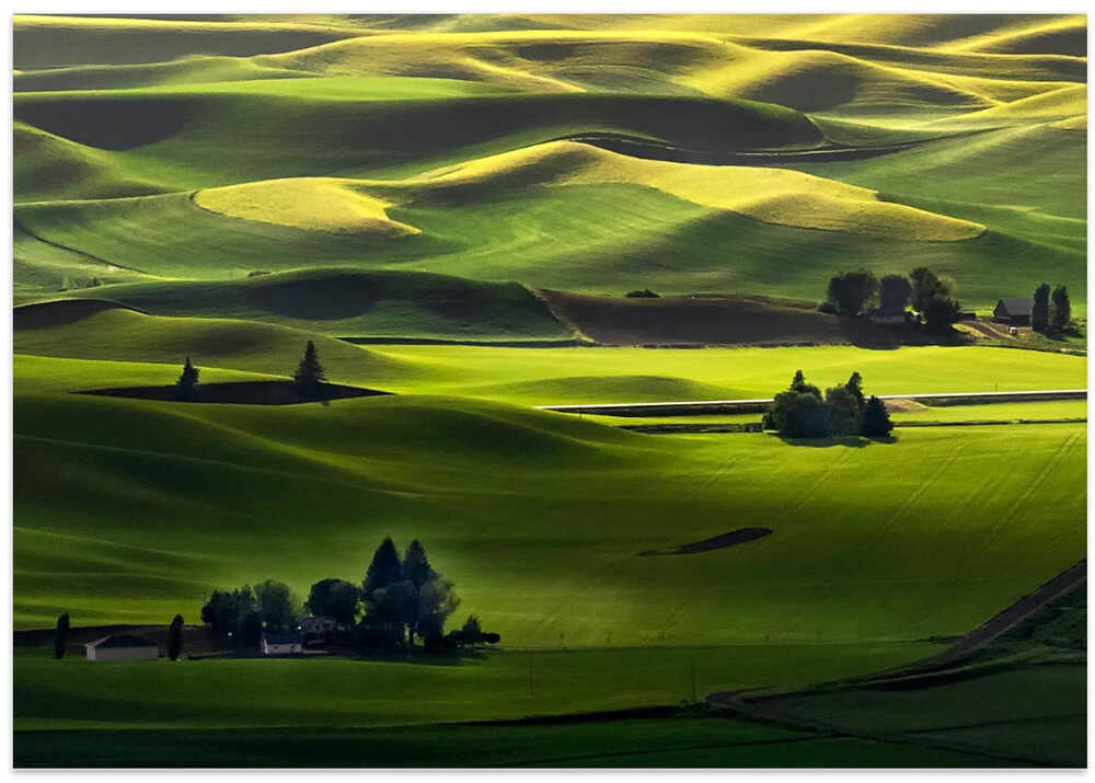 Early morning in the spring